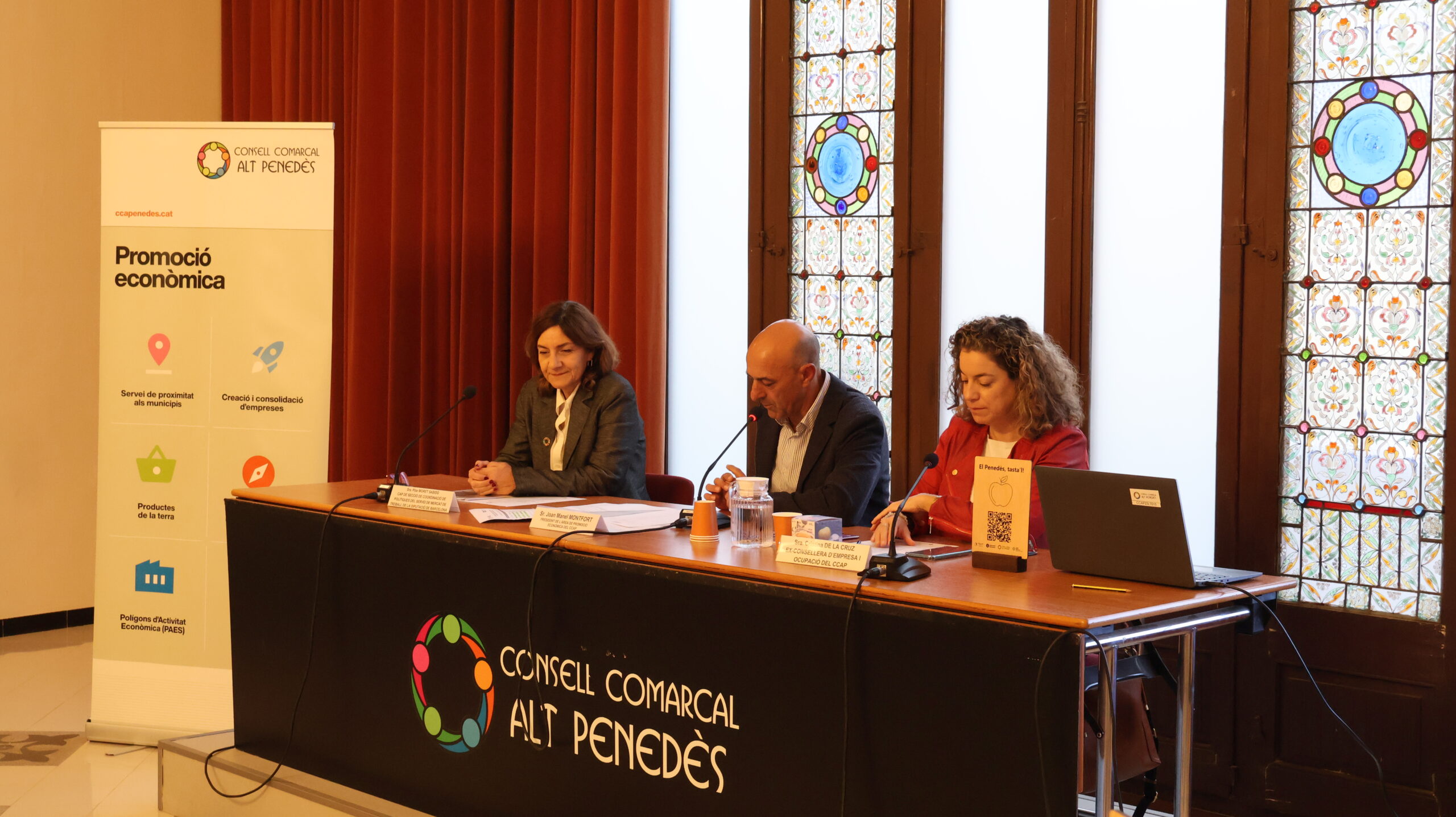Consell Comarcal projectes