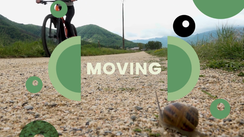 Moving