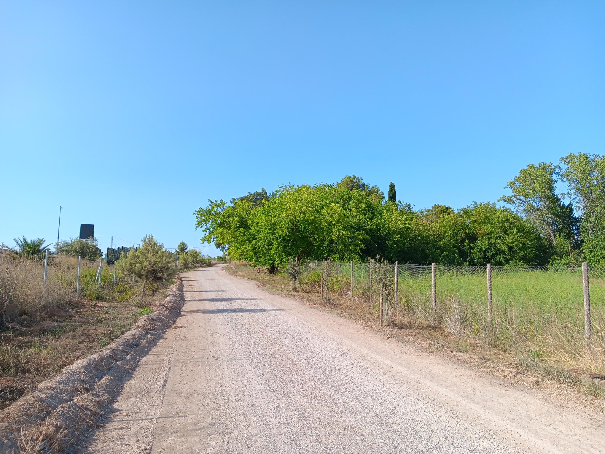 camins1