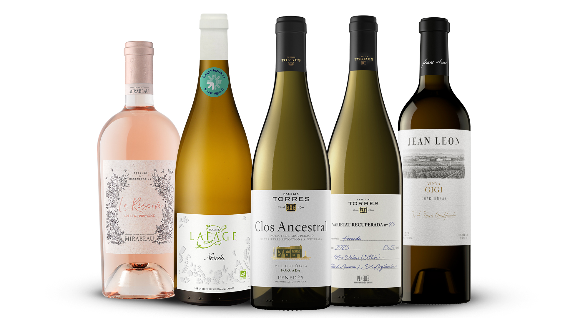 VINS RVA- Primeres certificacions (1)