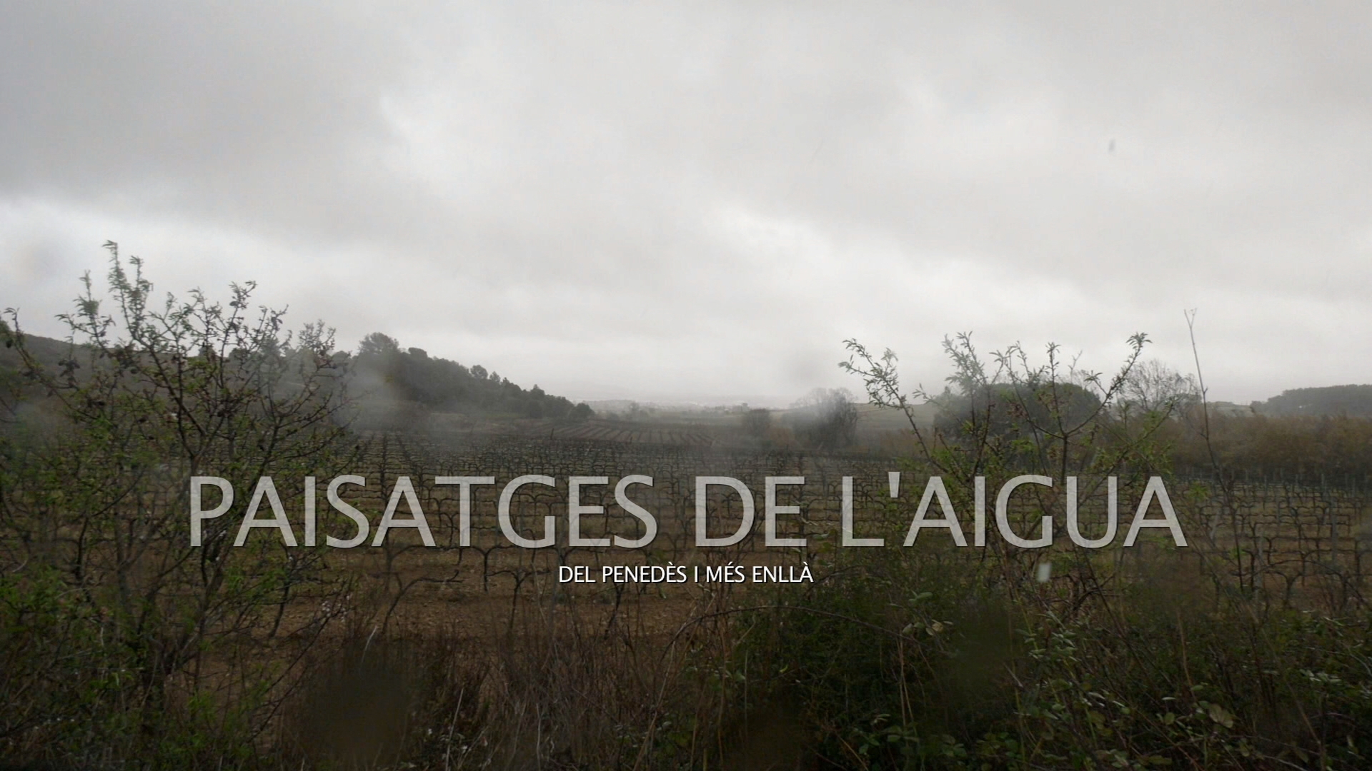 Paisatges de l'aigua