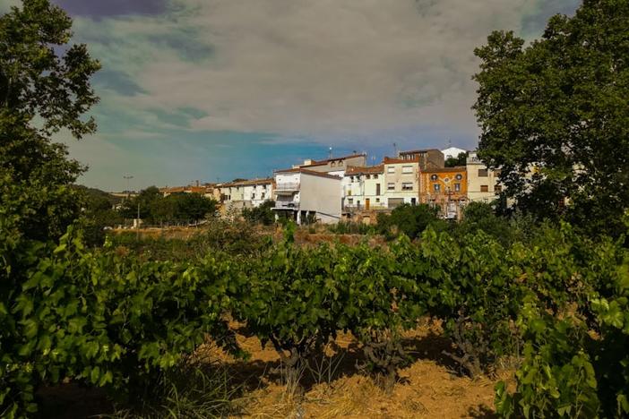 Entorn de Sant Quintí