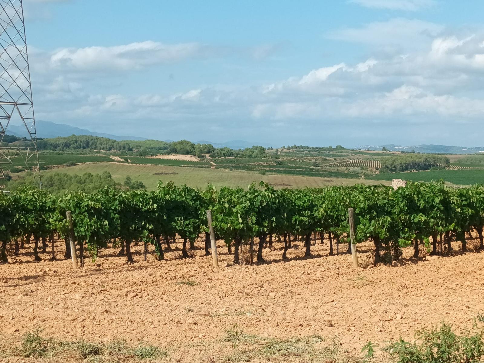 sant llorenç