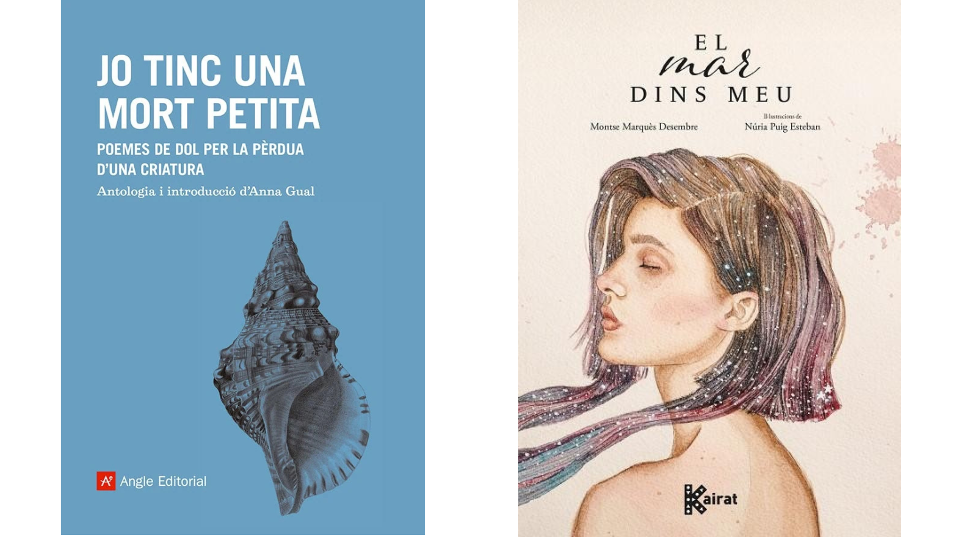 llibres