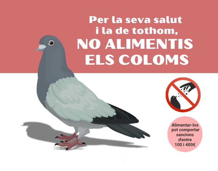 coloms