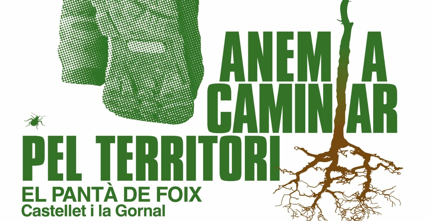 Caminada Bosc Verd 18 1 2026