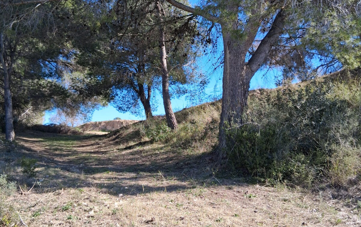 camí Sant Sepulcre1