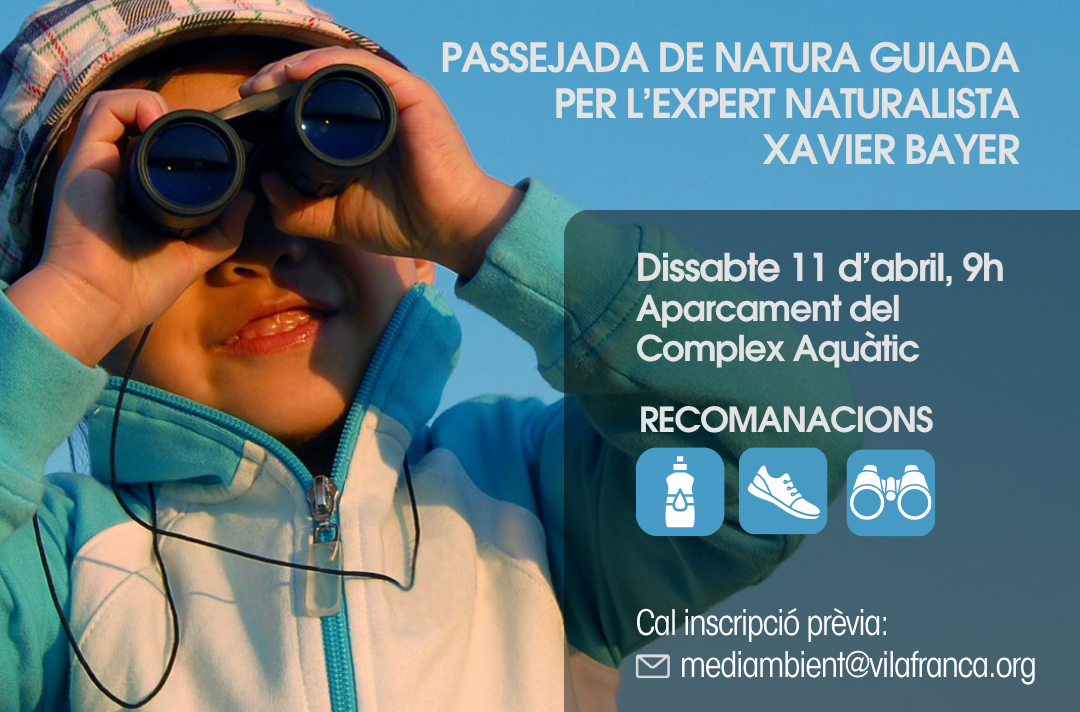 ocells i natura